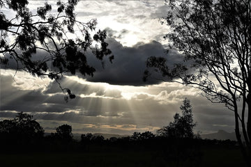 Bundaberg Qld
