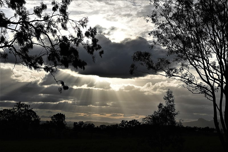 Bundaberg Qld
