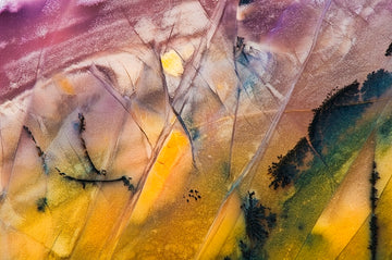 Burro Creek Agate
