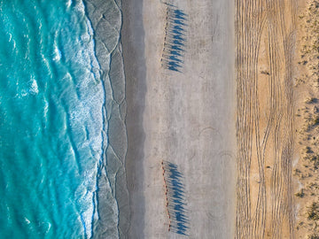 Cable Beach Camels