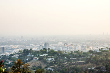 California Dreaming