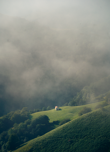 Camino