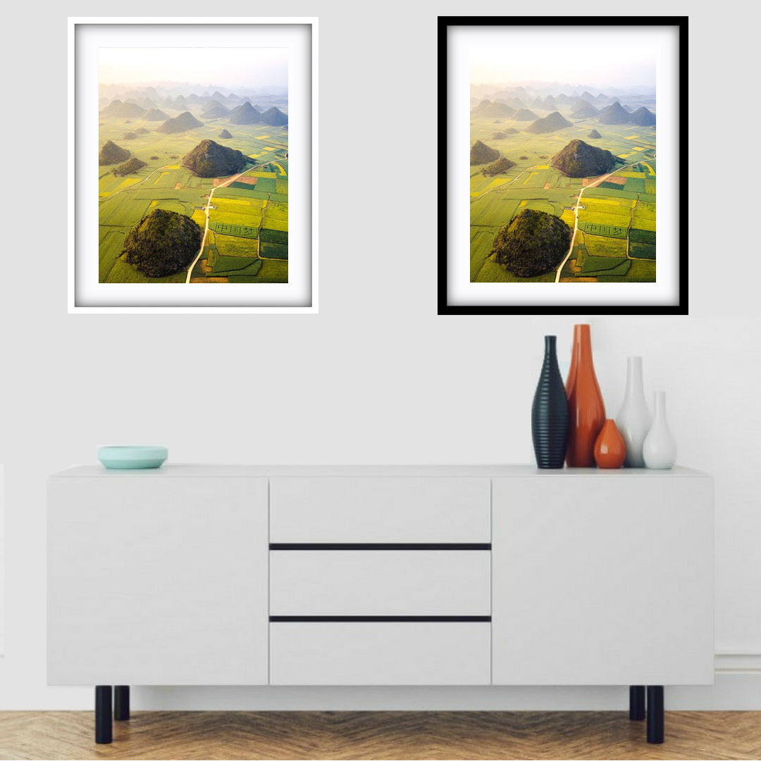 Canola Fields