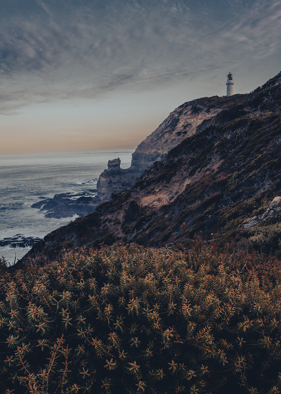 Cape Schanck Lighthouse