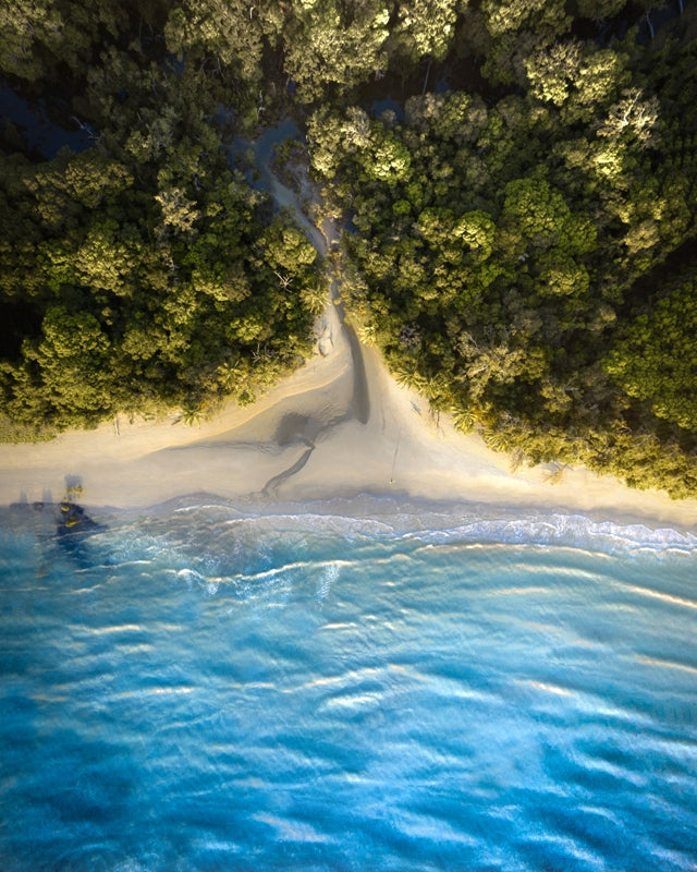 Cape Tribulation 3
