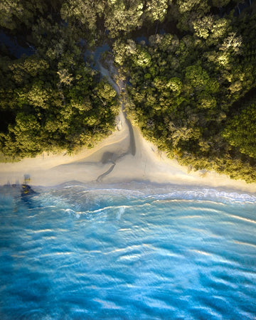 Cape Tribulation 3