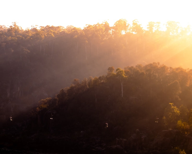 Cataract Sun