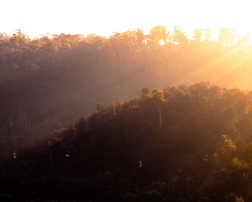 Cataract Sun