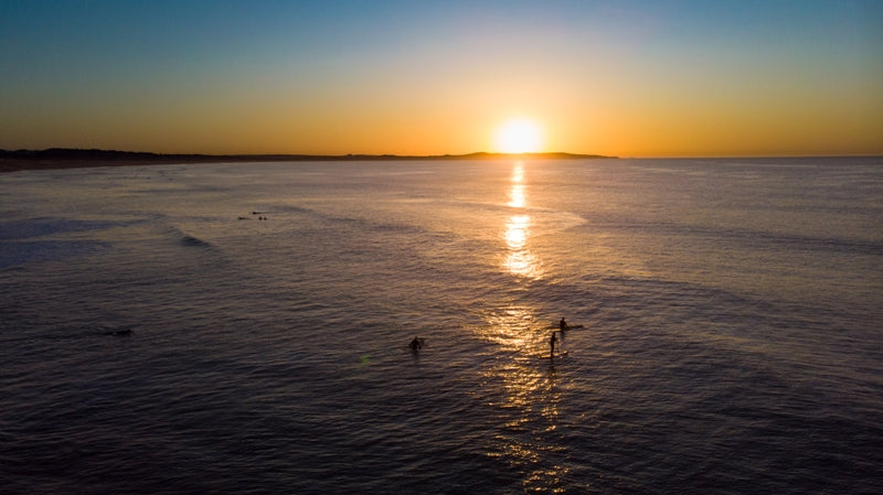 Catching the Early Wave