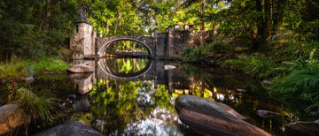 Cedar Creek