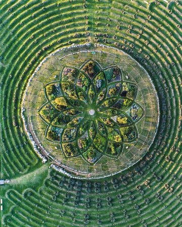 Cherry Point Top Down