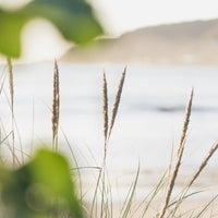 Chilled beach vibes