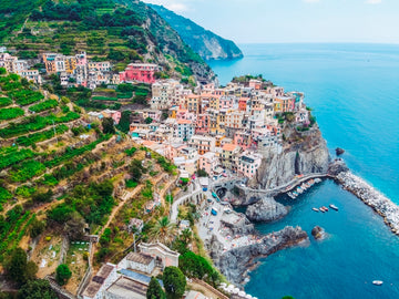 Cinque Terre - Manarola Landscape