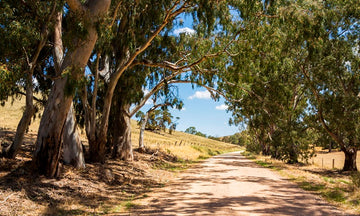 Clare Valley