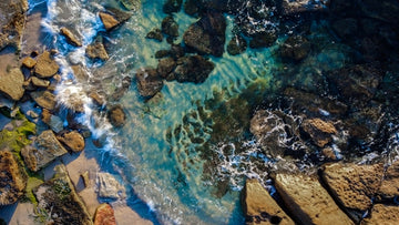 Clear Cove