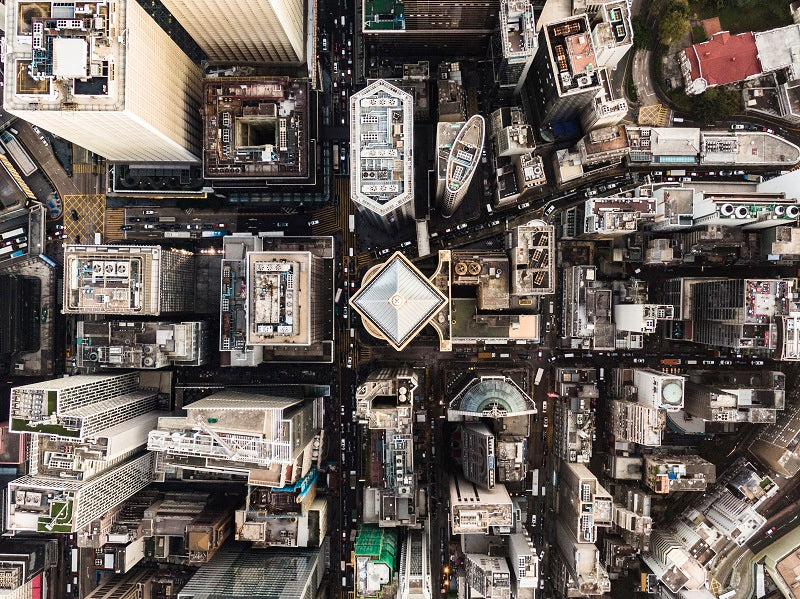 Concrete Jungle