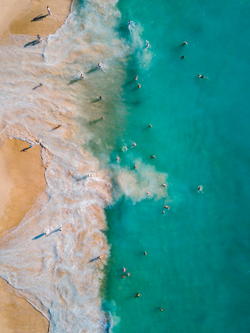 Coogee Shoreline