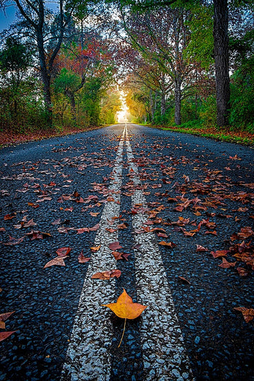 Sunshine Coast Hinterland