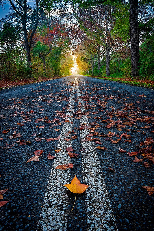 Sunshine Coast Hinterland