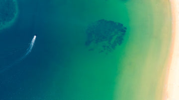 Coral Colours 1