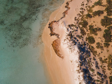 Coral bay