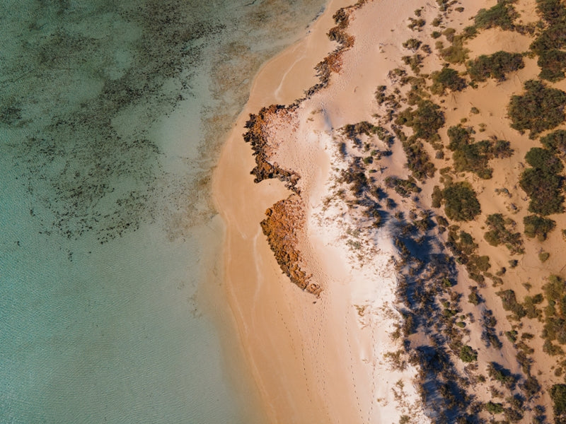 Coral bay