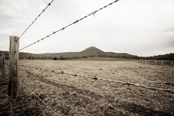 Country Fence