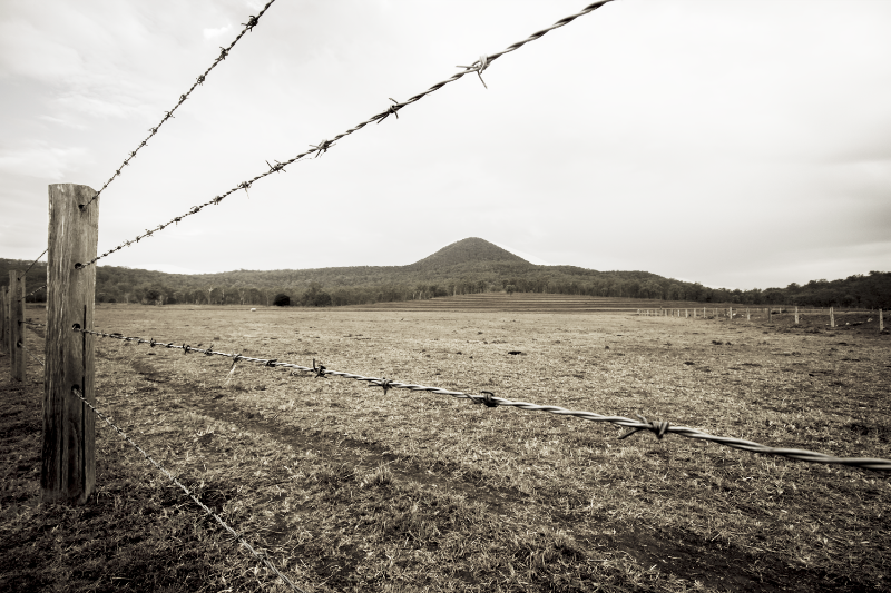 Country Fence