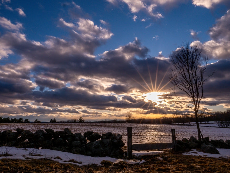 Country Sun