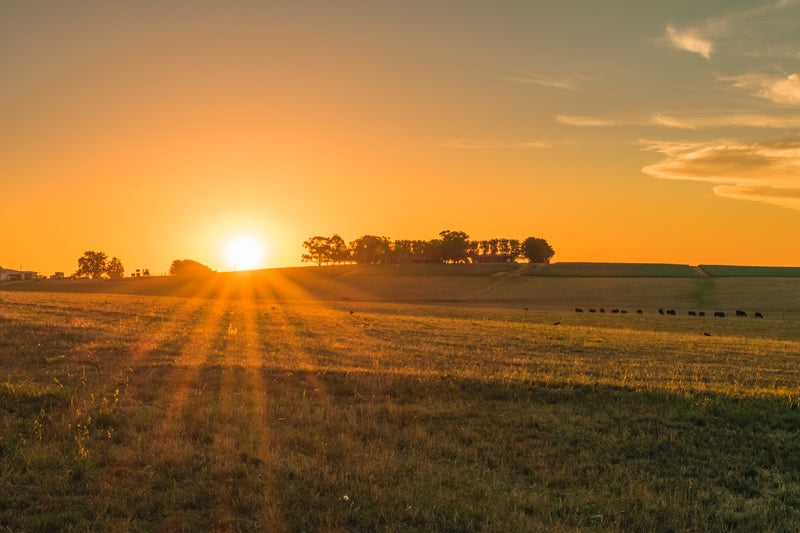 Country Sunset