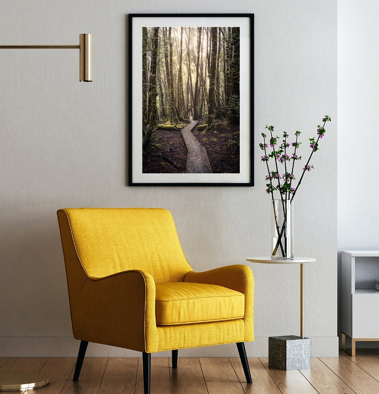 Cradle Coast - Enchanted Forest