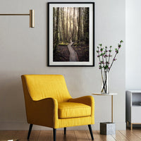 Cradle Coast - Enchanted Forest
