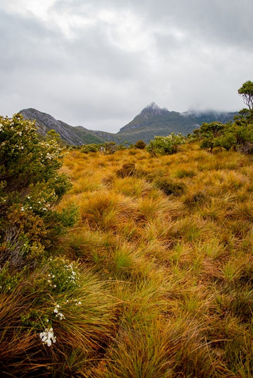 Cradle Mountain