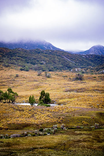 Cradle Mountian 1