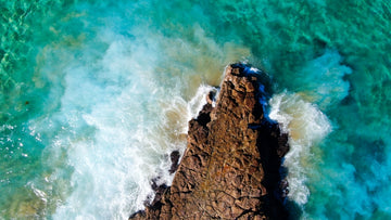 Crocodile Rock - Avoca Beach NSW 2