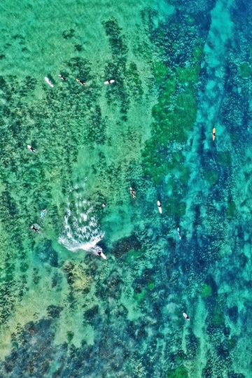 Crystal Clear Surf at North Shelly