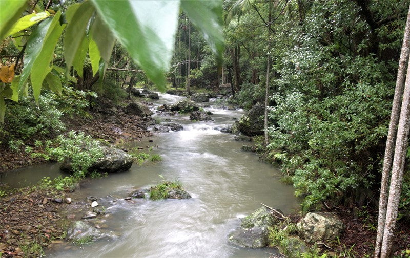 Currumbin Valley Qld