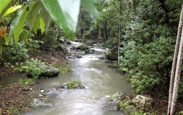 Currumbin Valley Qld