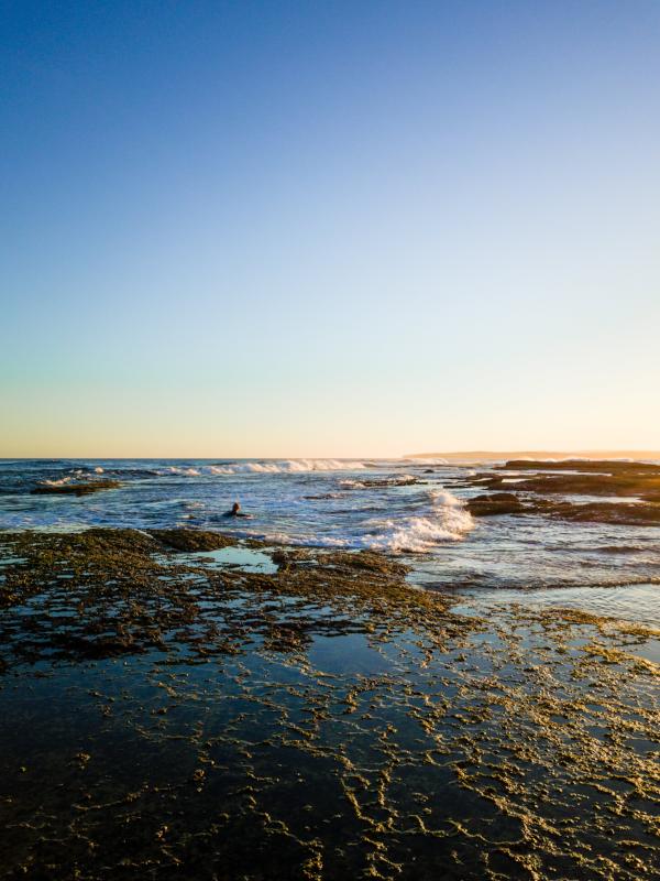 Surf-rise