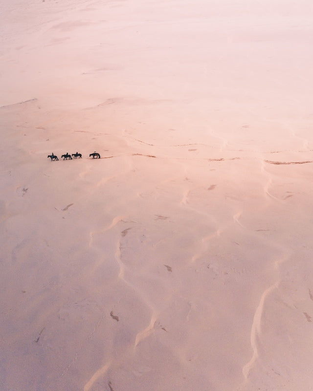 Trotting the Beach