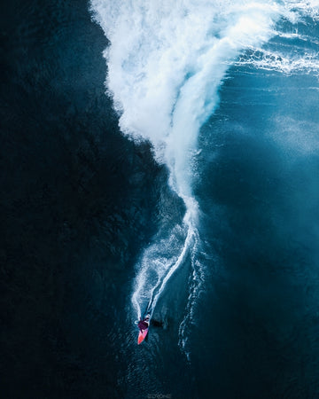 DOWN THE LINE