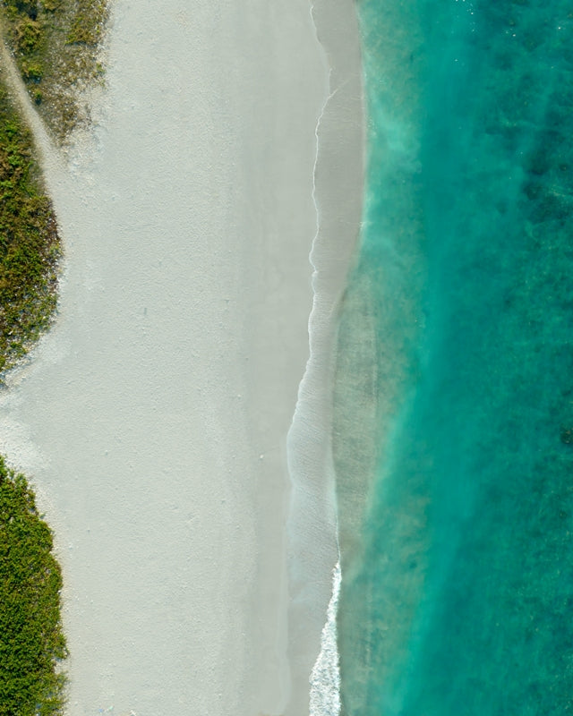 DREAMY BLUES