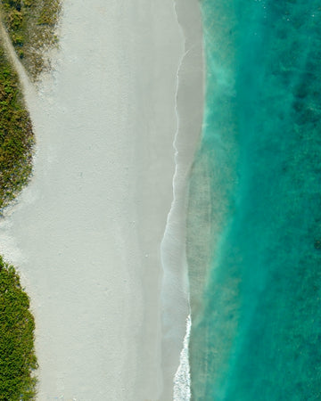 DREAMY BLUES