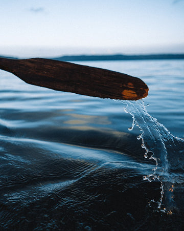 Paddle