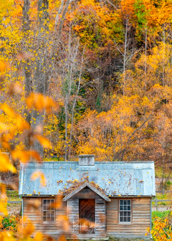 Arrowtown
