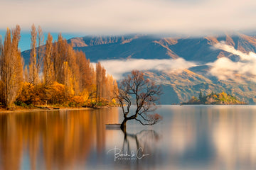 Lake Wanaka