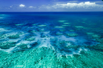 Great Barrier Reef 2