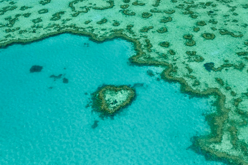 Great Barrier Reef 3