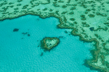 Great Barrier Reef 3