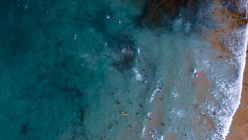 Dee Why Beach